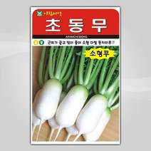 슬로시 슬로시 김장 채소 씨앗 무 배추 당근 씨 종자, 초동무20g(아람)