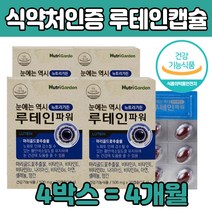 프리미엄 고 농축 함량 루 뉴 테인 태인 눈 건강 50 60 70 대 부모님 노인 어르신 직장인 고시생 고등학생 어른 활력있는 생활 건강한 유지 잦은 운전 시력 눈이 침침 답답 중장년층