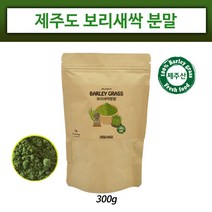 제주도 보리새싹 분말 차 새싹보리 파우더 보리 순 가루 국내산 어린 보리잎 즙 보리싹 보리순 폴리코사놀 혈관건강 사포나린 체중관리 내장지방 효능, 300g, 1개