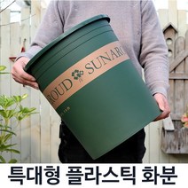 모스그린 플라스틱화분 특대형 화분 슬릿 분갈이, 7호, 화분(받침대 포함)그린