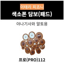 피죠니 프로 색소폰 담보 야나기사와 알토용