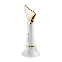 하베런 포블링 괄사 얼굴라인 누트25.5 갈바닉 마사지기 NUT25 뷰티디바이스, 골드