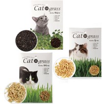 캣닢 귀리 밀 고양이 캣그라스씨앗 5팩