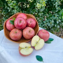 [13brix이상 당도선별]{믿고먹는 방씨아들} 청송 꿀 사과 3kg 5kg 10kg 초특가 못난이 흠집 보조개 홍로 부사 사과 햇사과 선물용 중과 대과 가정용 제수용 선물세트, [선물포장]정품5kg(22과수내외/중소과)