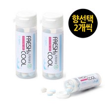 무설탕 후레쉬 쿨캔디 2통 민트향, 선택1. 민트향28g, 28g