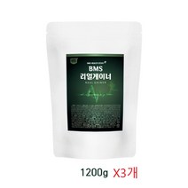 팔라티노스 가루 분말 MPB 엠피비 식물성 추출물 효능 유청단백질 곡물단백질 아르기닌 아미노 글루타민 게이너 파우더 1kg 단백질보충제 BCAA 추천, 일천이백gx3개