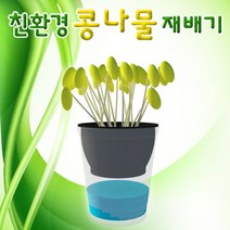 친환경 콩나물 재배기 (1인용) KUP