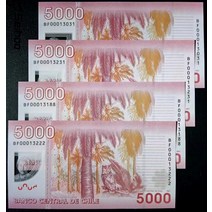 2021년 칠레 5000페소 플라스틱 지폐 기념지폐 수집지폐 대박선물 행운의상징, 03.좋은 번호 BF00013188