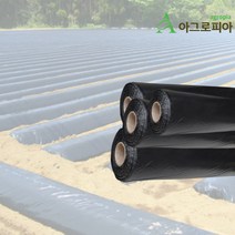 무공멀칭비닐 두께0.025mm 무 배추 마늘 양파 두꺼운 텃밭용 필름, 편폭120cmx길이100m(택배비3000원포함), 1개