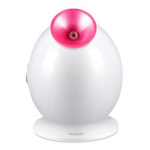 얼굴 보습 스팀기 안면 피부관리 페이셜스티머, 화이트