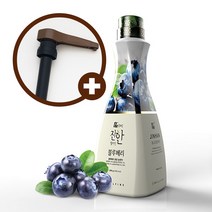 웰파인 더진한 블루베리농축액 1.5kg + 브라운펌프, 단품