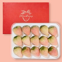 프루미츠 새벽 수확 담양 눈벚꽃 하얀 딸기 400g (특품/12-15과)