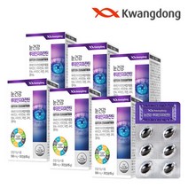 내츄럴플러스 광동 눈건강 루테인 지아잔틴 30캡슐 6박스, 선택완료, 단품없음