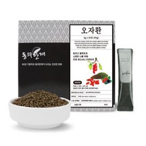 동의한재 오자환 스틱 3g 30포 남성활력 12종 재료함유, 단품