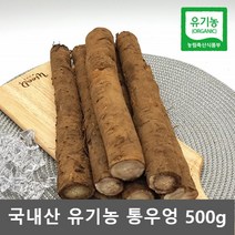 유기농 우엉 국산 우엉 뿌리 생우엉 통우엉 국내산 우엉 500g