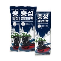 충성 NEW 깔창형 발난로 핫팩 대형 90g 5p, 10개