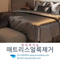 바닥매트리스청소 진드기청소기 침대진드기박멸 쇼파진드기제거 소파진드기제거 매트리스해충방제 트리스해충방제 매트리스UV살균 진드기패치 메트리스UV살균