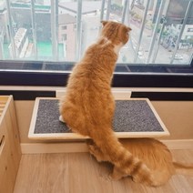 아크퍼니처 DIY 고양이 원목 윈도우 캣타워, 1set