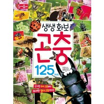 생생화보 곤충 125가지:신기한 우리 곤충부터 화려한 열대 곤충까지, 글송이