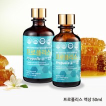 국산 프로폴리스 원액 액상 리퀴드 드롭 수용성프로폴리스 고함량 항산화영양제 퀘르세틴 플라보노이드 환절기 구강건강 면역기능 효능 항균 프로폴리스스포이드 GMP 식약처인증 부모님 수험생 직장인영양제, brainbee 1통, 1