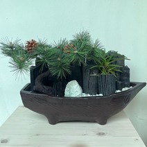 [희망참숯농원] 배수반(중) 국산백탄참숯 숯부작, 1