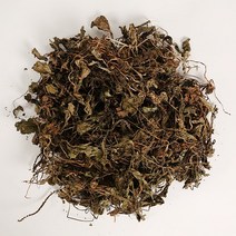 건 질경이 200g 차천초 차 엽포 국산 질갱이차 만드는법, 200g 1개
