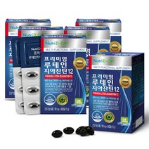 [뉴트리디데이] 프리미엄 루테인 지아잔틴12 6박스 (6개월분), 상세 설명 참조, 6개