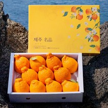 [품질보증] 인하네 제주 한라봉 3kg 5kg 과일 선물 세트, 1box, 5kg 중간봉
