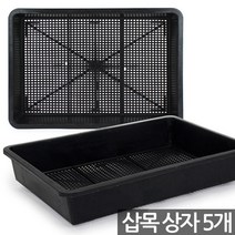 초화상자 5개 - 육묘상자 포트상자 포트운반 모종운반 트레이 박스 삽목박스 초화박스 육모박스 비닐포트 초화포트 포트, 02_한성_삽목상자 X 5개