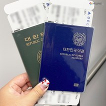 2개 투명 전자 여권케이스 구여권 신여권 커버