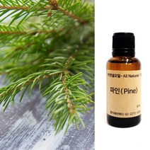 향기에반하다 파인 E.O 천연 아로마 에센셜 오일 30ml 50ml 100ml 전신 피부 회복 친환경 디퓨저 방향제 캔들 향료 화장품 비누만들기, 파인 천연 아로마 에센셜 오일 100ml