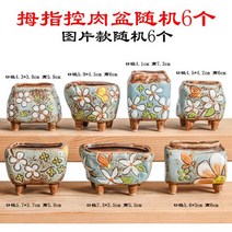 해외 초소형 포켓 미니 엄지 즙이 많은 화분 세라믹 크리 에이 티브 석기 다육 복숭아 계란 제어 유형-135374, 04. 엄지 컨트롤 고기 랜덤 6A