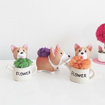 모스 화분 천연이끼 웰시코기 이끼키우기, 스마일웰시코기, 화이트