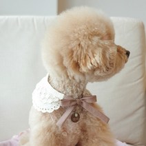 개달당 소담 레이스 고양이 강아지케이프 4colors.개달당, 브라운