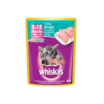 캣간식 주니어 참치 파우치 80g 뱅갈 브리티시쇼트헤어 츄르 스코티시폴드 러시안블루 추르 고양이간식 샴