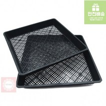 HS 화분 트레이 42x42cm 묘목 재배상자 모종 플라스틱운반상자 텃밭상자 육묘상 파종판 육묘 매트 더덕 대파, 단품