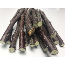 무농약 [생]사과나무가지 햄스터 토끼 친칠라 간식 이갈이 100g