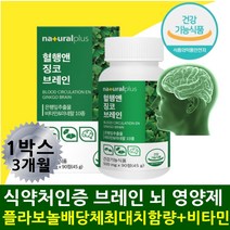 기억력감퇴 두뇌 혈관 건강 은행잎추출물 뇌영양제 중년 여성 남성 시니어 영양제 뇌혈류 흐름 개선 집중력 인지력 작업력 주의력결핍 개선도움 뇌혈관 확장 혈관벽 강화 브레인