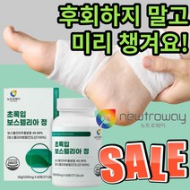 뉴트로웨이 초록입보스웰리아 뉴질랜드산 고함 량 양 고농축 보스웰실리아 보시웰리아 보스윌리아 보수엘라 추출 물 분말 보수엘리아 정 가성비 갓성비 관절 허리 어깨 척추 식 약 청 인정, 120정(2개월)