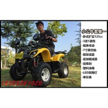 사륜 오토바이 구동 해변 사발이 화물 짐 운반 바이크, 125cc 7인치