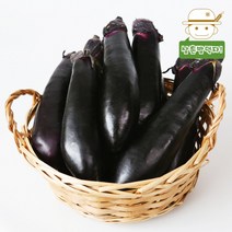 싱싱한 보라빛 국내산 가지 2kg/3kg/5kg, 5kg