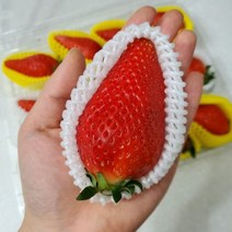 [당일수확]국내산 킹스베리 대왕딸기 특대딸기 특상딸기 논산킹스베리 생딸기 왕특대딸기 킹스베리딸기 최상급킹스베리딸기 특품킹스베리딸기 백화점킹스베리딸기 제이블릭, 프리미엄 킹스베리 특대 16과입