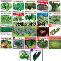 코리아팜 쌈채류 씨앗/로켓셀러드(루꼴라)/새론케일/혼합쌈채/새론레드치커리/적치커리/청치커리/백경채/고려몸짱청경채/식용색비름 2g/레드러시안케일/만추콜라드케일/맛짱케일/레드치커리, 3.다농-혼합쌈채 3g