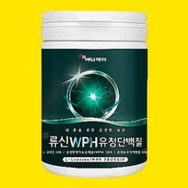 L로이신 유청단백가수분해물 유청농축 류신 단백질 LEUCINE 필수아미노산 유청단백질 저분자 근육 분말 프로틴 완두단백 보충제 노인 어르신 근육 프로틴 운동 전 후 헬스 WPH 가수분해물 아미노액티브 WPC 마시는 쉐이크 물에 타먹는