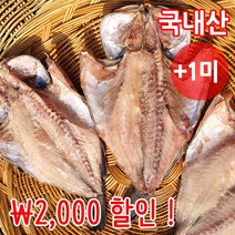 짠돌이쇼핑 반건조 우럭 1-3마리 25-35cm 외 10종 자연건조 군산직송, 1마리, 우럭(대) 35cm