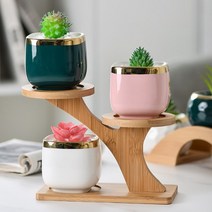 다육이 화분 원목 받침대, 트리