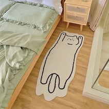 인테리어 소품 발매트