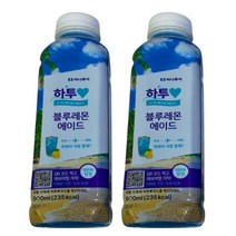 블루레몬에이드 페트음료 500ml x 24개, 상세페이지 참조