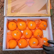 프리자연 제주 레드향 프리미엄 명품 고당도 선물세트 2kg 3kg 5kg, 레드향 명품 선물세트 중대과 5KG(17-25과)