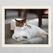 [바보사랑] ij247-요염한고양이_창문그림액자_뮤럴시트지[꾸밈], 상세 설명 참조, 타입선택:F타입-러블리베이지